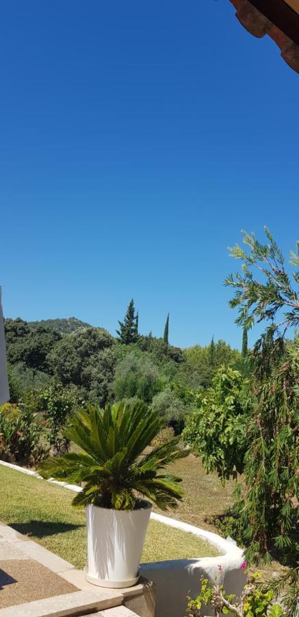 Villa Milagro - 3 Bedroom Finca Style Villa With Pool Near Golf Course/Beaches - Air Cond. Pollenca Luaran gambar
