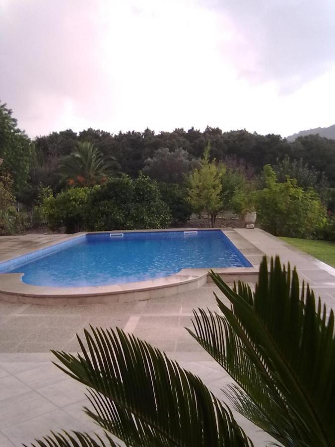 Villa Milagro - 3 Bedroom Finca Style Villa With Pool Near Golf Course/Beaches - Air Cond. Pollenca Luaran gambar